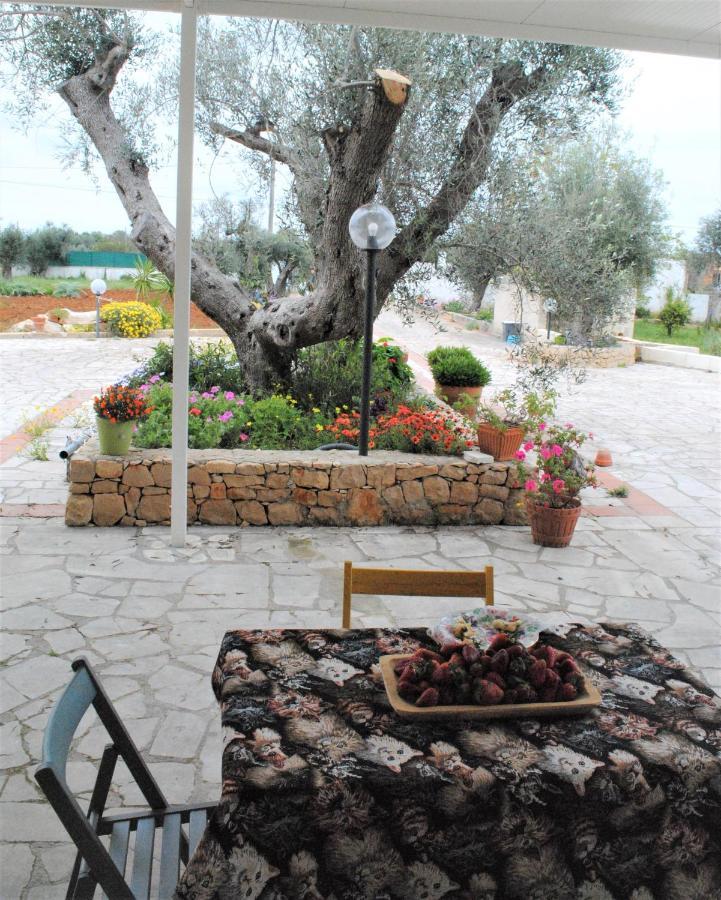 Microborgopasca Bed & Breakfast Sannicola Exterior photo
